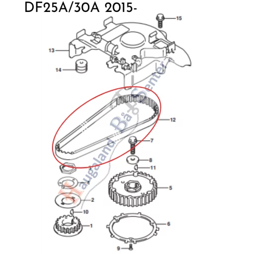 REGISTERREIM DF25A/30A  -Suzuki Marine