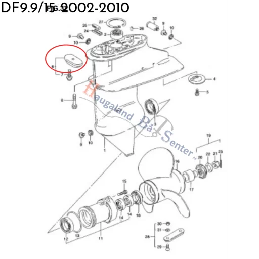 ZINC,PROTECTION SUZUKI MARINE