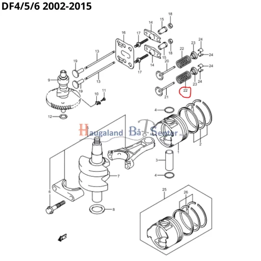 SPRING,VALVE -SUZUKI MARINE
