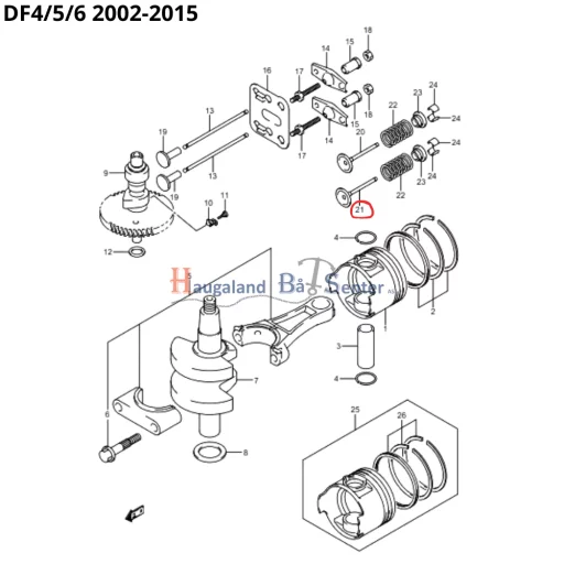 VALVE DF4/5 -SUZUKI MARINE