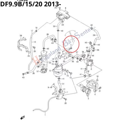 BOLT 6X25 -Suzuki Marine