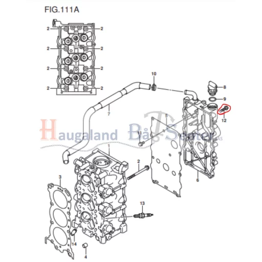 BOLT 6X25 -Suzuki Marine