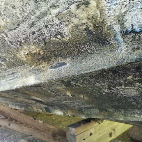 1852 Marin Clean bunnstoffjerner 5 l