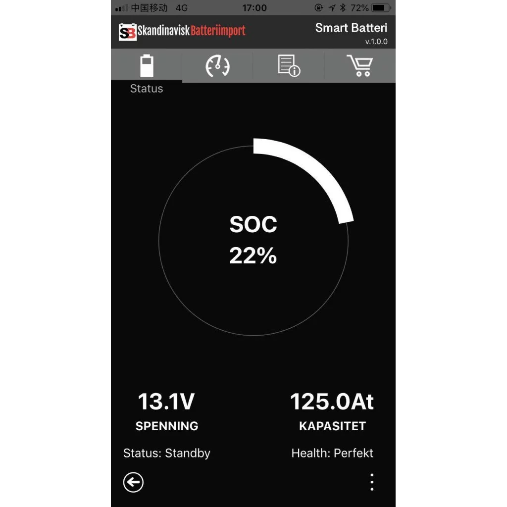 SKANBATT Bluetooth Lithium Batteri 12V 98AH 100A BMS - BOBILBATTERI