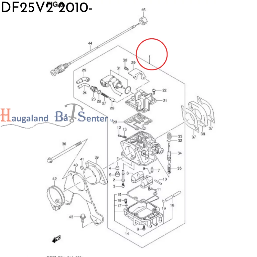 CARBURETOR ASSY / FORGASSER DF25/K6-  W/MANUAL STARTER  -Suzuki Marine