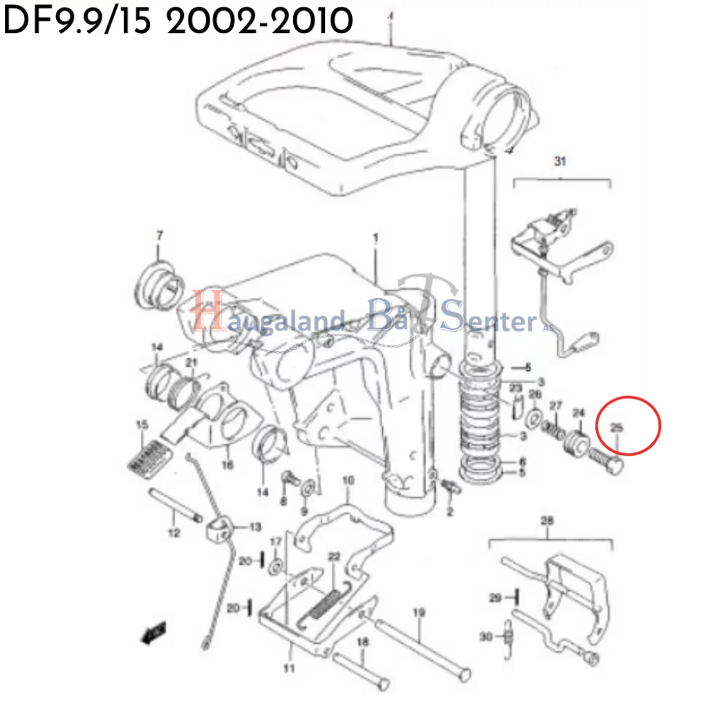 BOLT 8X30 -Suzuki Marine