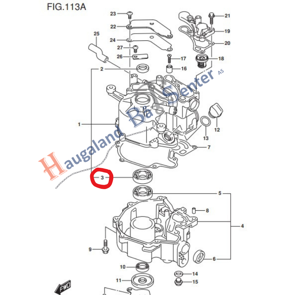 BALL BEARING Suzuki Marine Haugaland B tsenter parts-of-a-flower-parts-of-a-flower-biology-diagrams-diagram-of-a