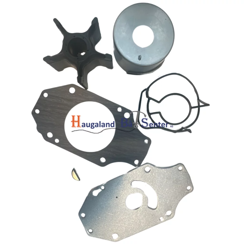 KIT,WATER PUMP REPAIR DF300A/300B