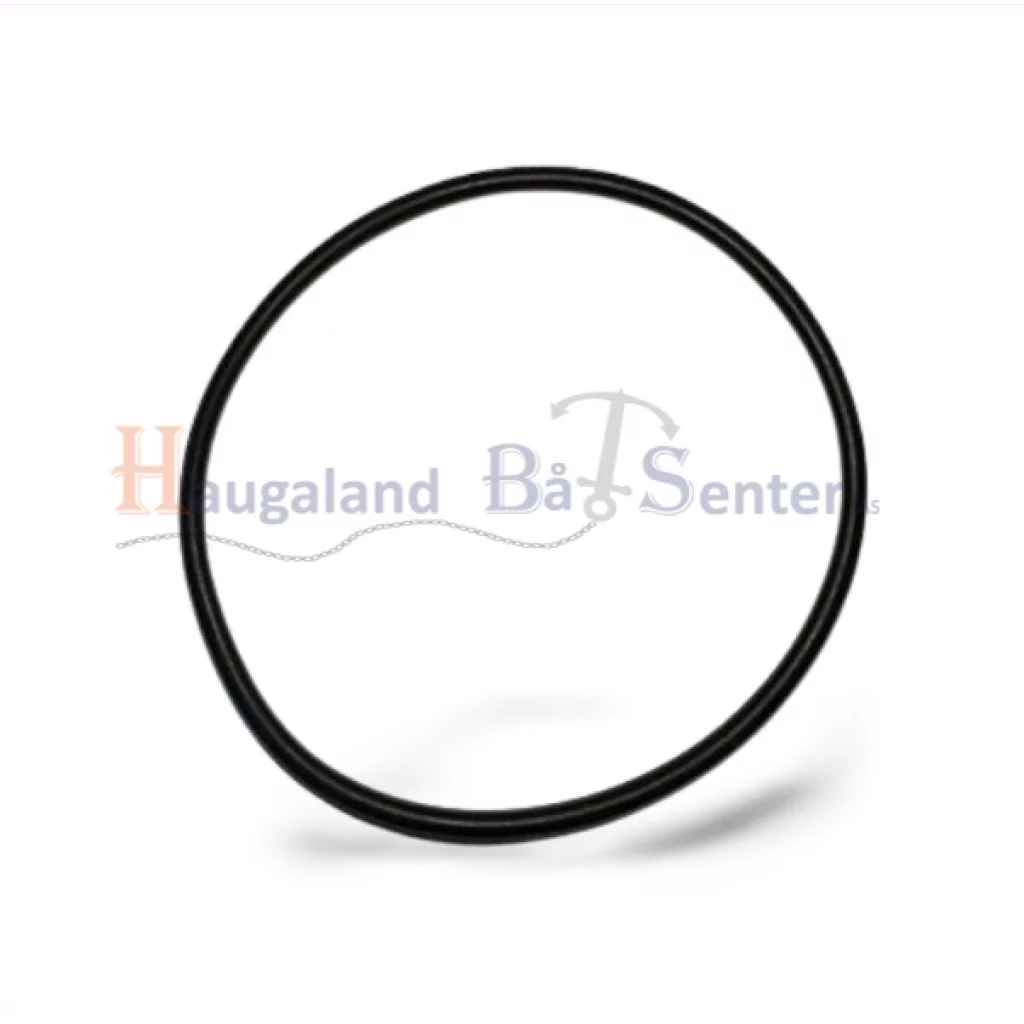 O-RING VOLVO PENTA 956000