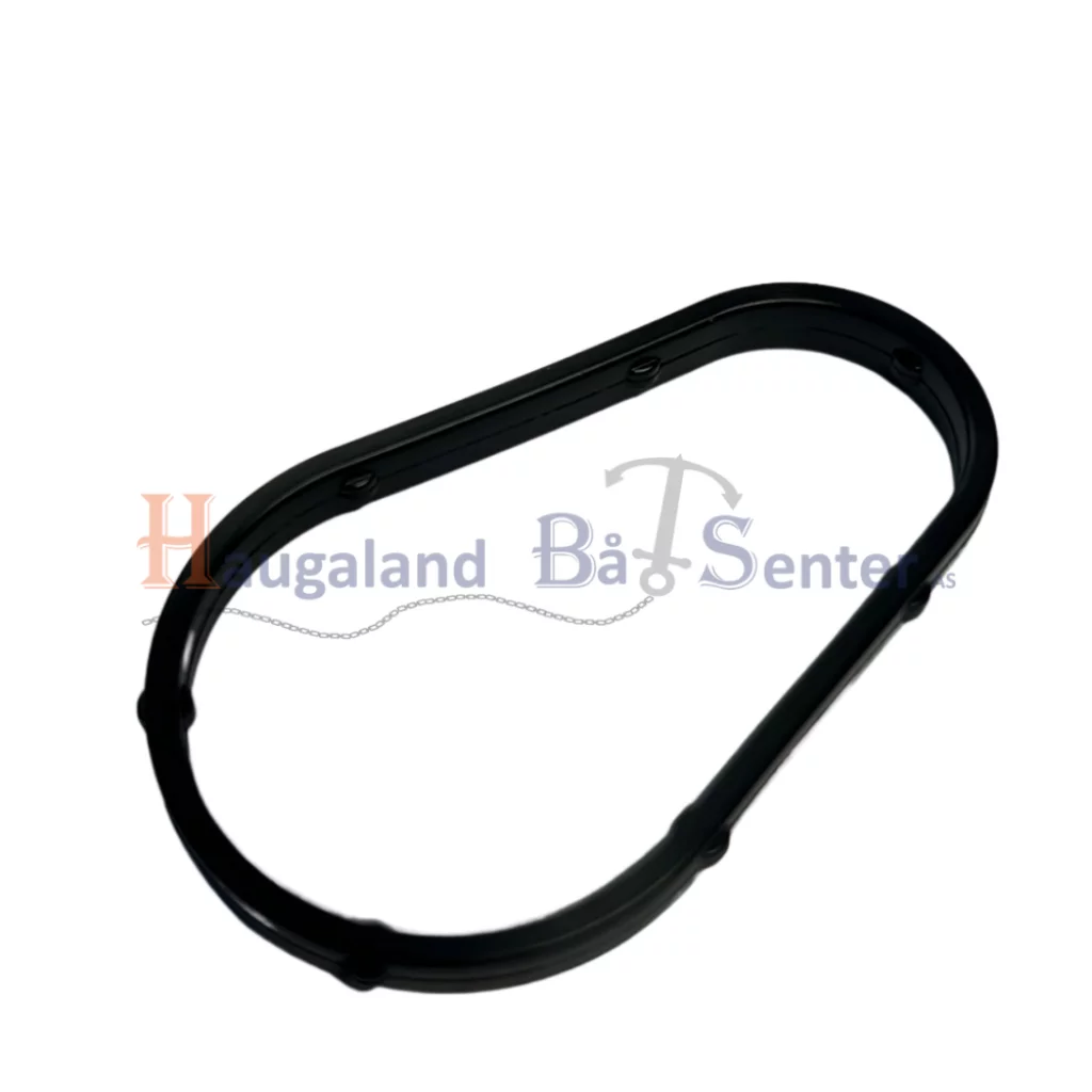 SEAL,THERMOSTAT COVER -SUZUKI MARINE