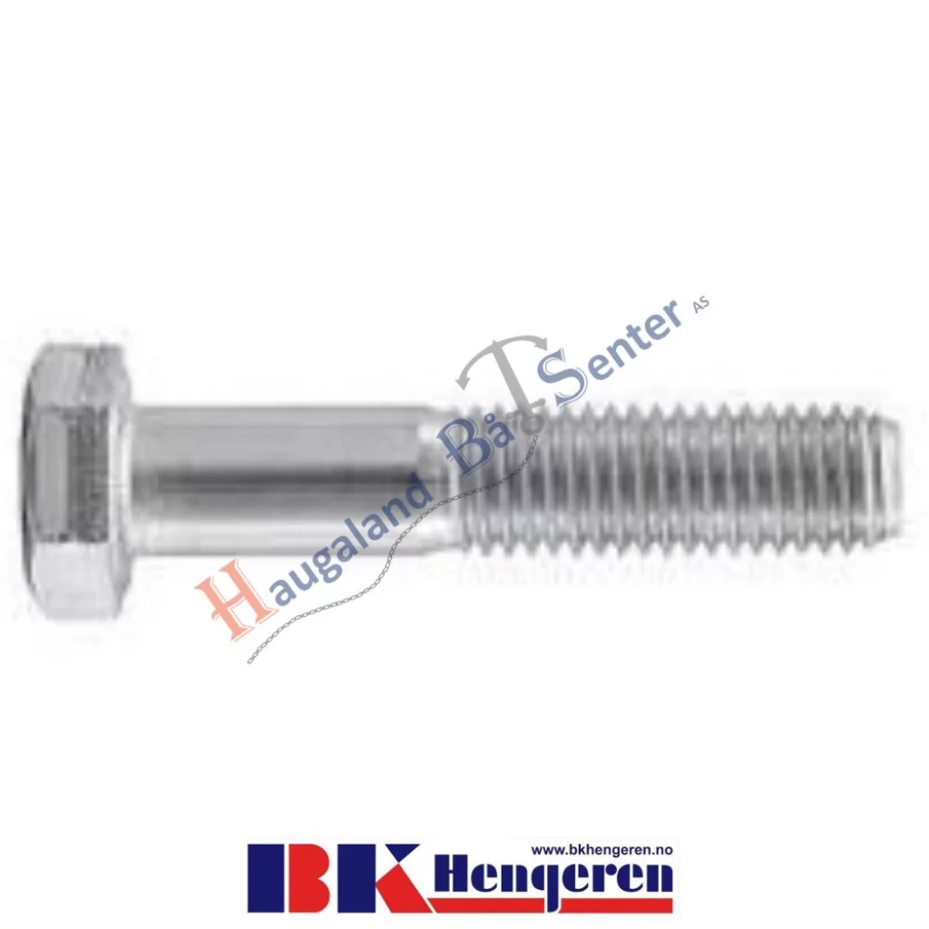 Bolt 12x100 BK-HENGEREN