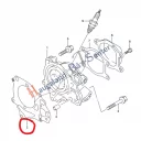 gasket-cylinder-head-suzuki-marine