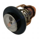 thermostat-water-50-deg-suzuki-marine