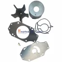 kit-water-pump-repair-df300a-300b