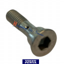 hollow-screw-volvo-penta-814643