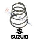 spring-suzuki-marine