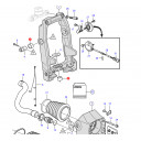 bering-bushing