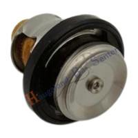 thermostat-water-60-deg-suzuki-marine