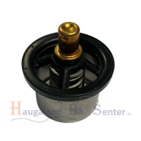 termostat-75-grader-volvo-penta