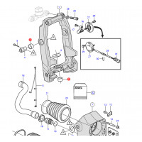 bering-bushing
